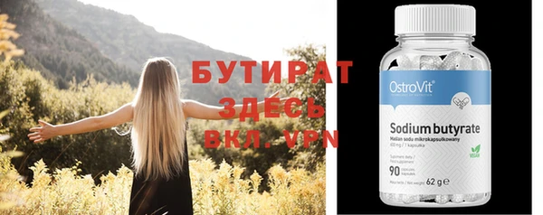 индика Мегион