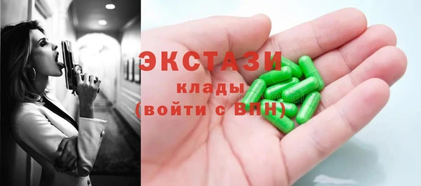 индика Мегион
