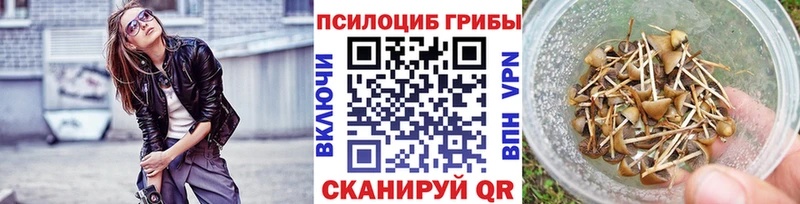 кракен ССЫЛКА  купить закладку  Чаплыгин  Псилоцибиновые грибы ЛСД 